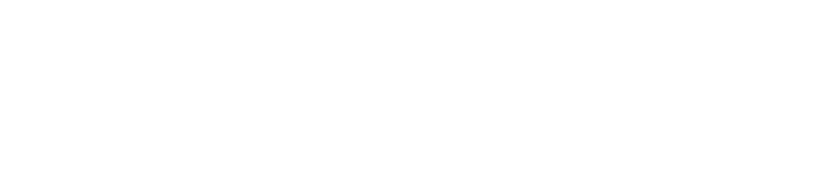 Project Crisis Lab